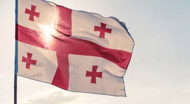 Могут ужесточиться правила получения грузинского ВНЖ