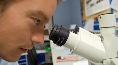 Семь вещей, которые раздражают русских эмигрантов в США