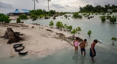 Комитет ООН признал право на предоставление убежища для климатических беженцев