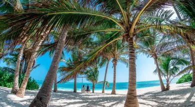 Безвизовый режим между Украиной и Доминикой