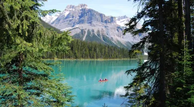 Канадская сельскохозяйственная сфера нуждается в иммигрантах