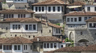 В Албании задержали 17 подозреваемых в подделке виз и паспортов