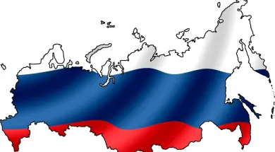 Россия приняла 160 женщин и детей, вернувшихся из ИГИЛ