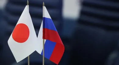 Япония планирует упростить визовый режим для бизнесменов России
