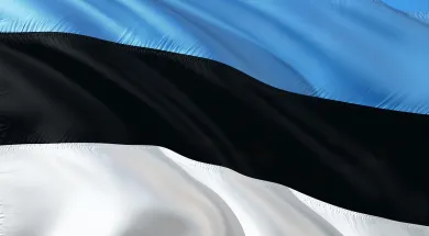 Обсуждается упрощение выдачи виз жителям приграничных территорий России и Эстонии