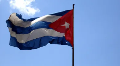 Комитет Совфеда поддержал соглашение с Кубой о передаче осужденных
