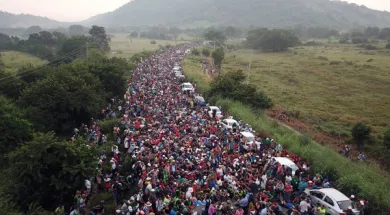 800 граждан участников знаменитого мигрантского каравана попались на американской границе