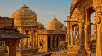 Правительство Индии получило более $200 млн дохода от электронной визы