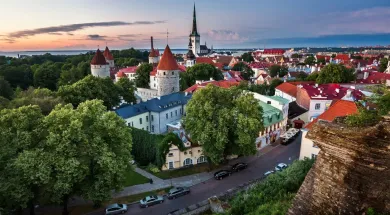 Эстония желает отменить безвизовый режим с Украиной