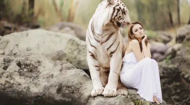 Выросла цена на электронные визы в Индию