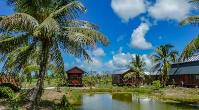 Россияне вскоре смогут без виз ездить в Суринам