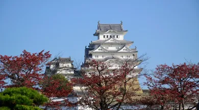 Японский паспорт – самый выгодный в мире