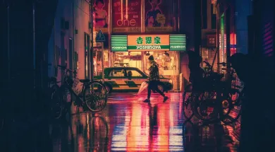 Японию можно будет посетить с электронной турвизой