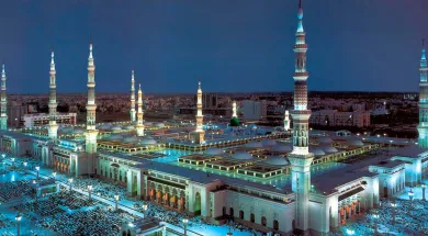 Саудовские власти будут выдавать визы иностранцам за один день