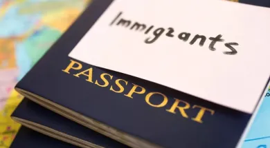 Страны-лидеры по количеству мигрантов