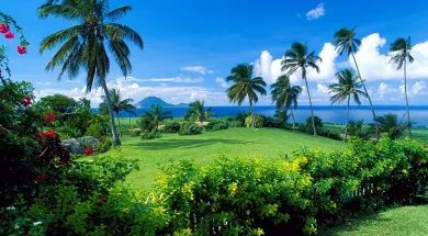 Гражданство Сент-Китса для всей семьи по цене одного инвестора