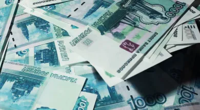 Россиян будут штрафовать, если приглашённые ими иностранцы не уехали вовремя