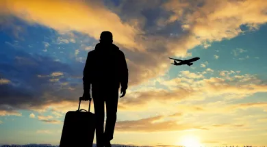 В какие страны иммигранты переезжают чаще всего