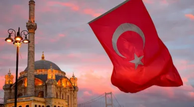 Турция ужесточает выдачу ВНЖ иностранцам  