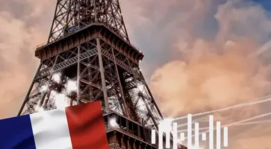 отзыв Франция