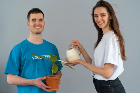 волонтерская программа