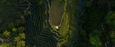 Бали