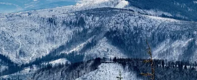 Студенческая виза в Польшу