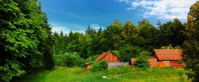 Репатриация в Литву